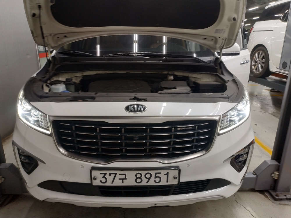 Kia Canival 2019 — inspection photo 1