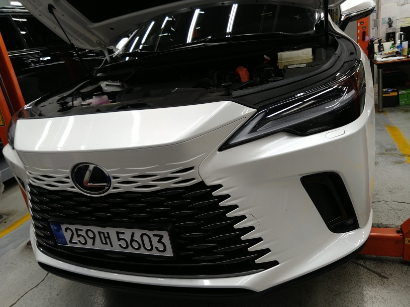Lexus RX 2025 — inspection photo 1