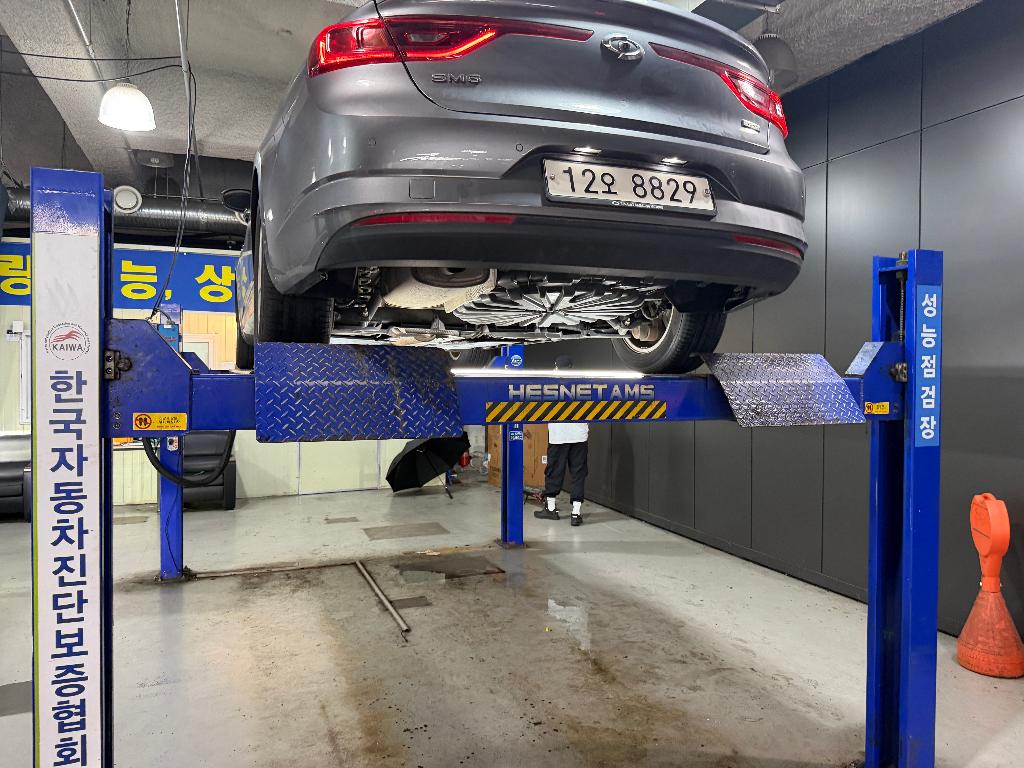Renault Korea SM6 2019 — inspection photo 2