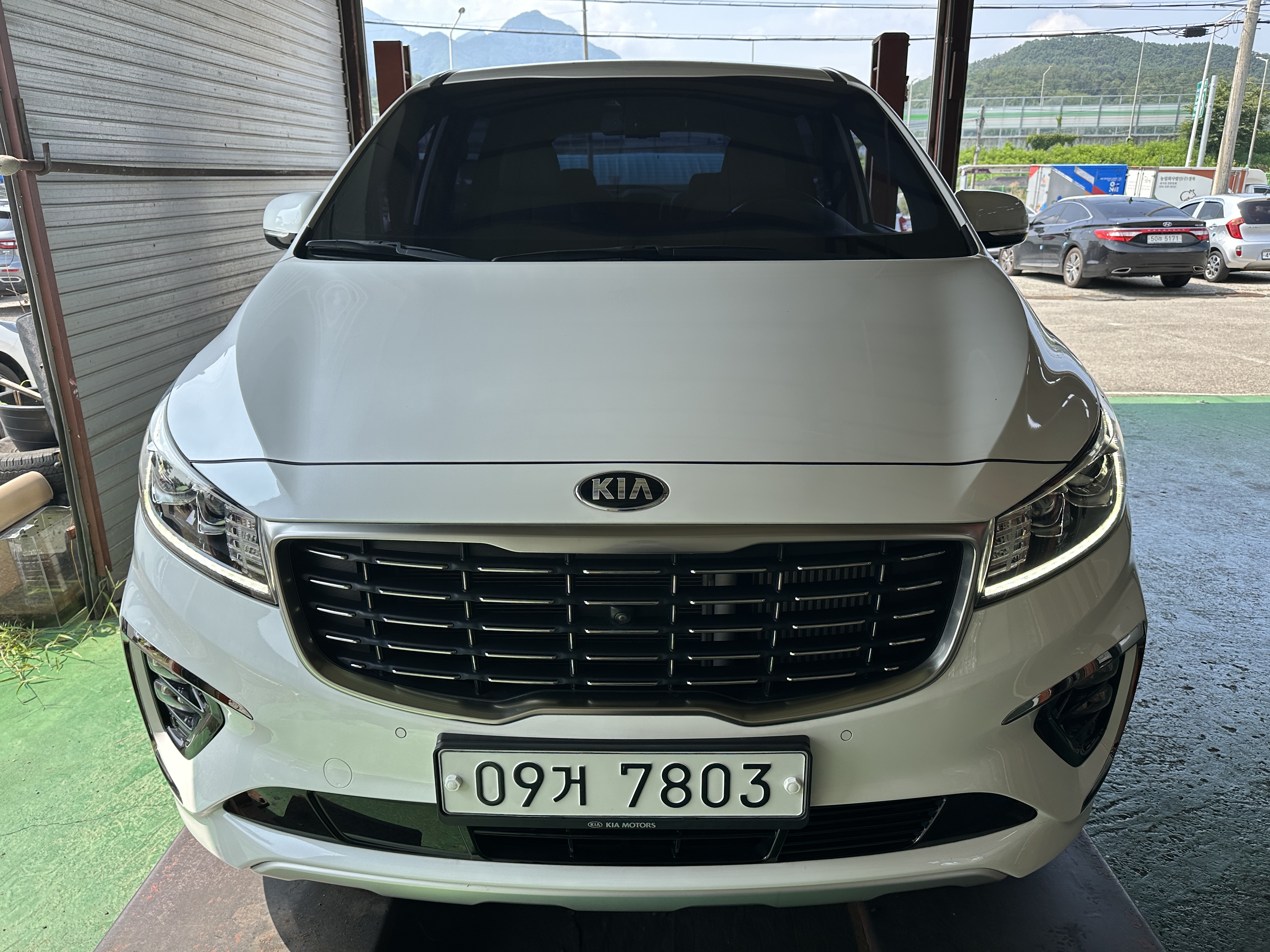Kia Canival 2019 — inspection photo 1