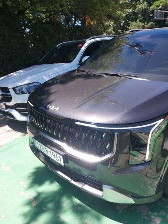 Kia Canival 2026 — inspection photo 1