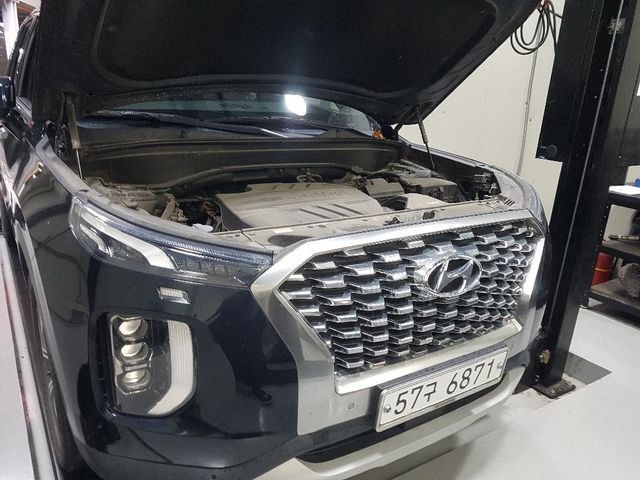 Hyundai Palisade 2019 — inspection photo 1