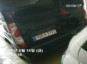 Renault Korea Master 2019 — inspection photo 2