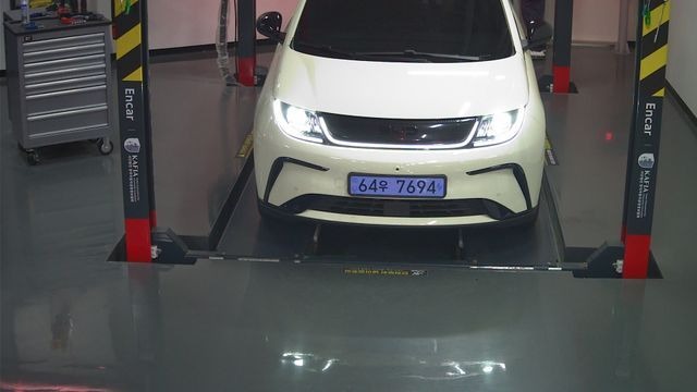 BYD Dolphin 2026 — inspection photo 1