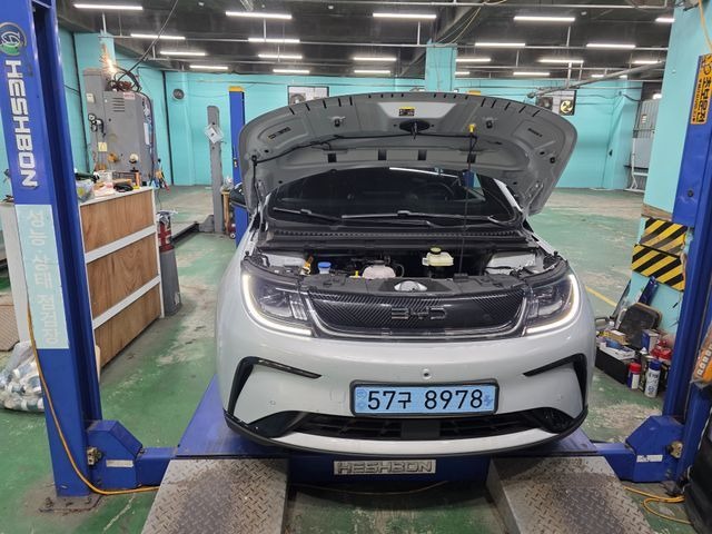 BYD Dolphin 2026 — inspection photo 1
