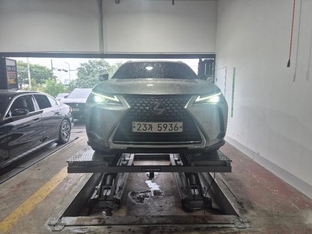 Lexus UX 2019 — inspection photo 1