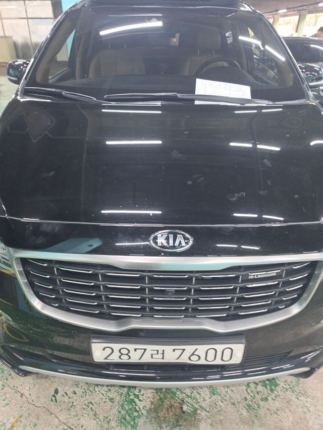 Kia Canival 2019 — inspection photo 1