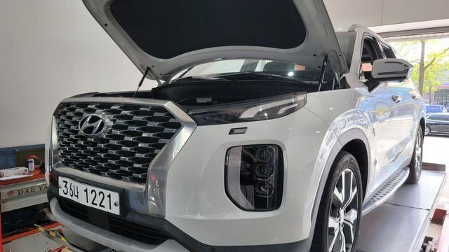 Hyundai Palisade 2019 — inspection photo 1