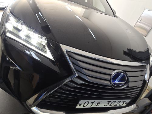 Lexus RX 2019 — inspection photo 1