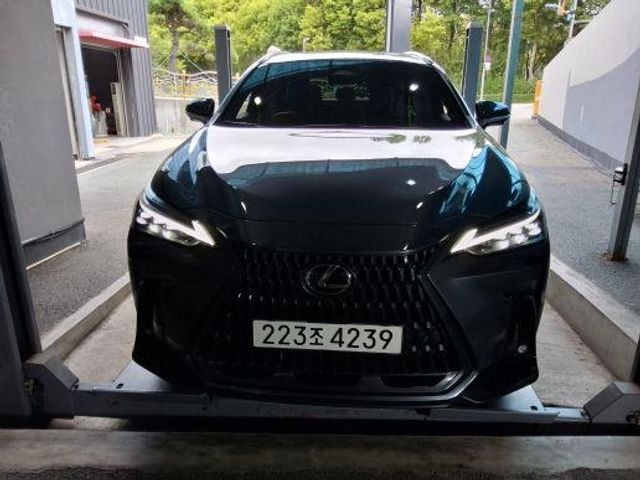 Lexus NX 2024 — inspection photo 1