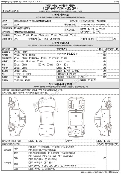 Hyundai Starex 2019 — inspection photo 1