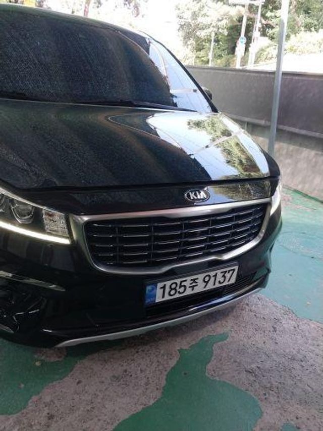 Kia Canival 2019 — inspection photo 1