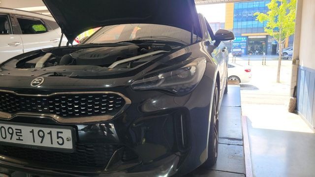 Kia Stinger 2019 — inspection photo 1