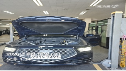 Genesis G90 2019 — inspection photo 1