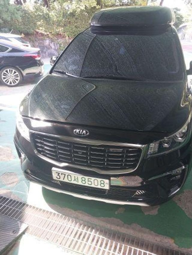 Kia Canival 2019 — inspection photo 1