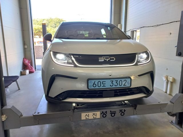 BYD Dolphin 2026 — inspection photo 1