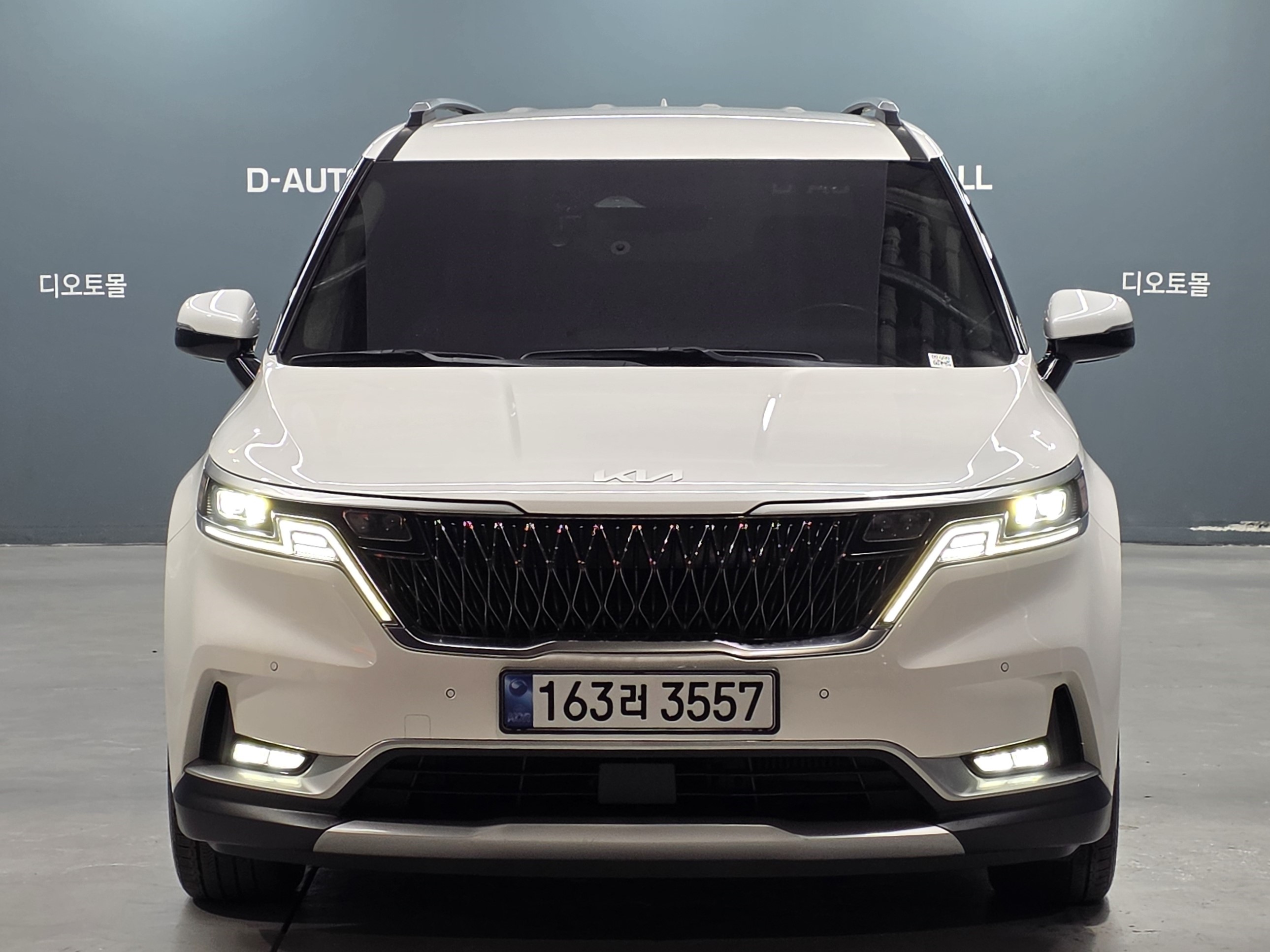 Kia Canival 2021 — inspection photo 1