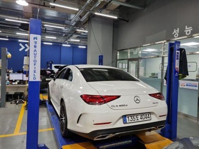 Mercedes-Benz CLS-Class 2019 — inspection photo 2