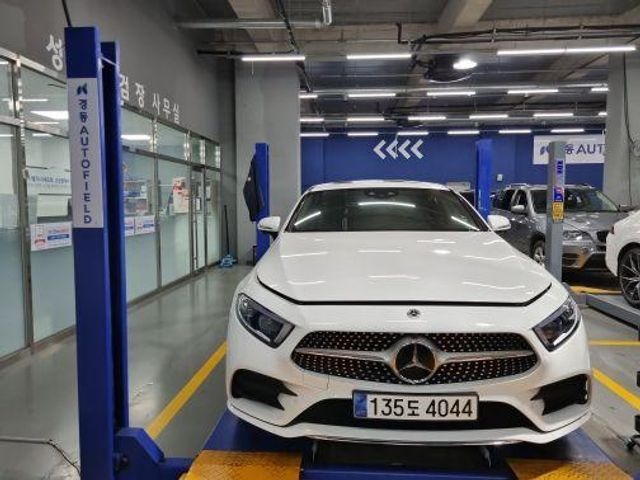 Mercedes-Benz CLS-Class 2019 — inspection photo 1
