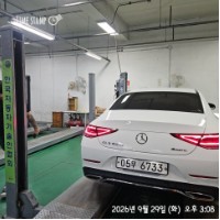 Mercedes-Benz CLS-Class 2019 — inspection photo 2