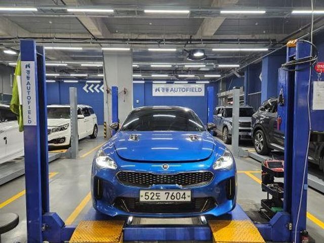 Kia Stinger 2019 — inspection photo 1