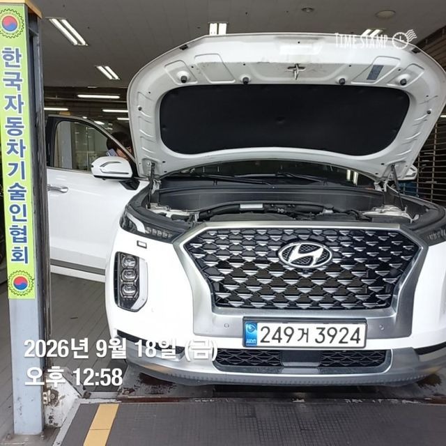 Hyundai Palisade 2022 — inspection photo 1