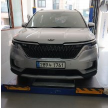 Kia Canival 2021 — inspection photo 1