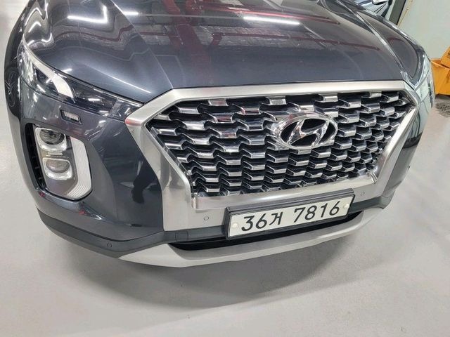 Hyundai Palisade 2019 — inspection photo 1