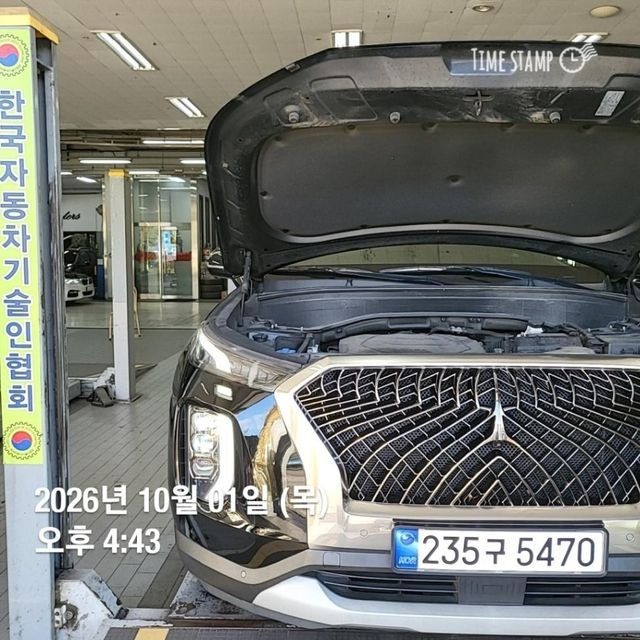 Hyundai Palisade 2019 — inspection photo 1