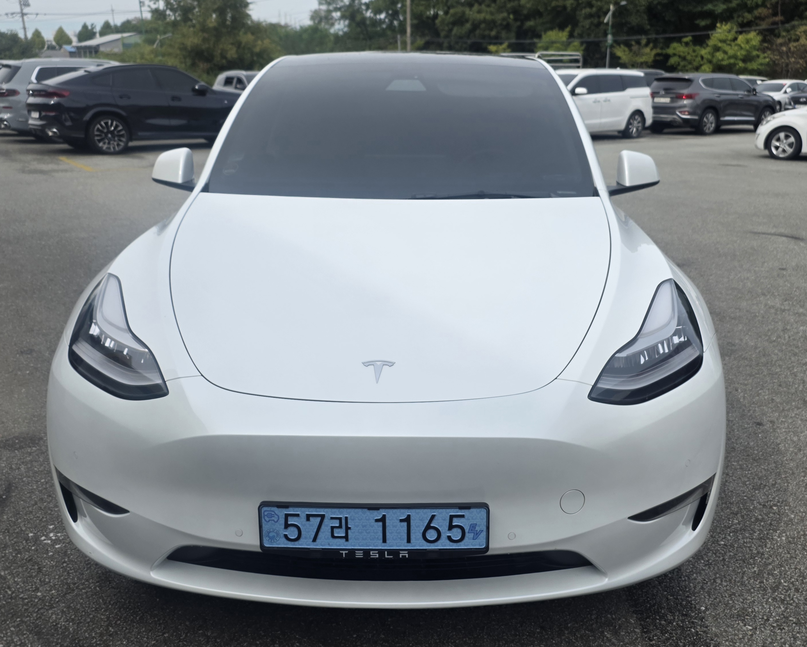 Tesla Model Y 2021 — inspection photo 1