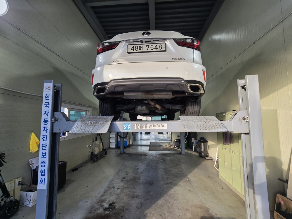 Lexus RX 2018 — inspection photo 2