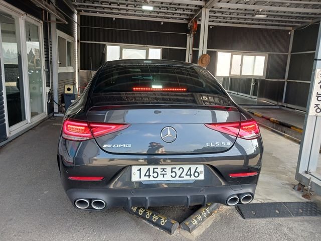 Mercedes-Benz CLS-Class 2020 — inspection photo 2
