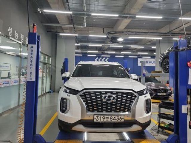 Hyundai Palisade 2020 — inspection photo 1