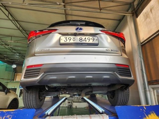 Lexus NX 2019 — inspection photo 2