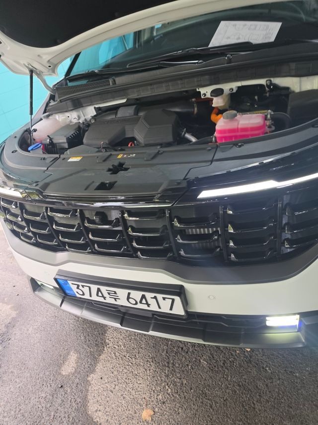 Kia Canival 2026 — inspection photo 1