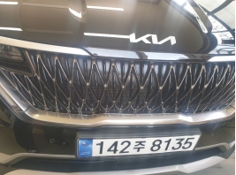 Kia Canival 2023 — inspection photo 1