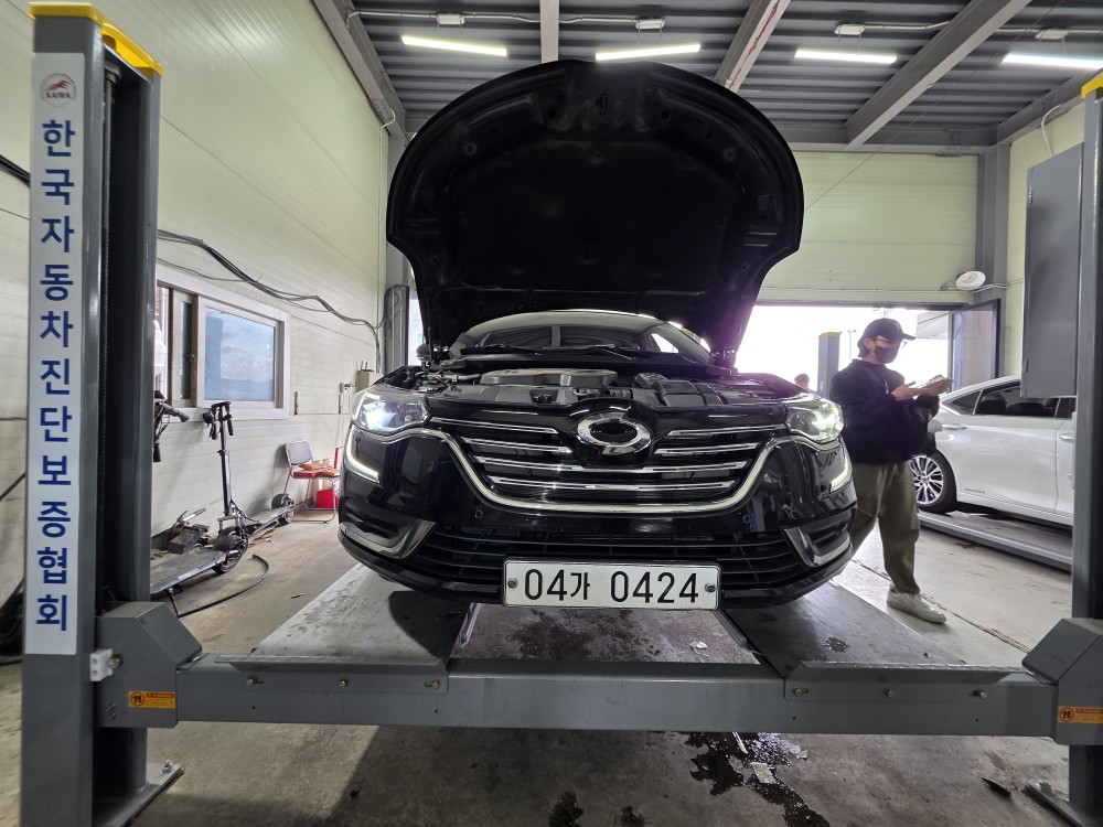 Renault Korea SM6 2016 — inspection photo 1