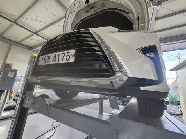 Lexus RX 2019 — inspection photo 1