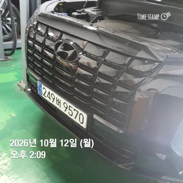 Hyundai Palisade 2024 — inspection photo 1
