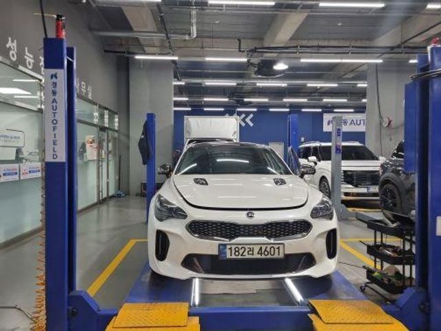 Kia Stinger 2021 — inspection photo 1