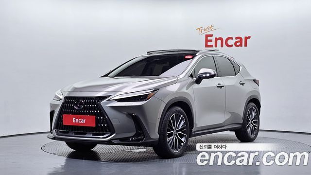 Lexus NX — exterior