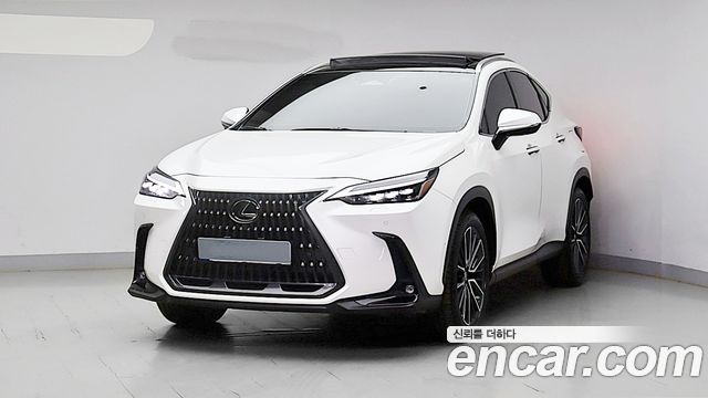 Lexus NX — exterior