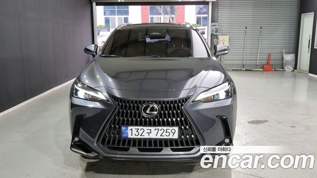 Lexus NX — exterior