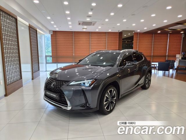 Lexus UX — exterior