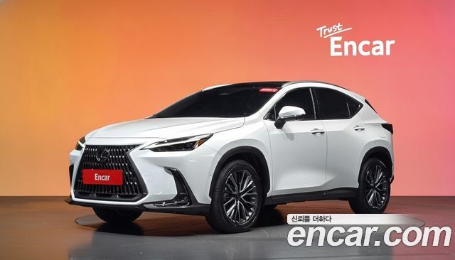 Lexus NX — exterior
