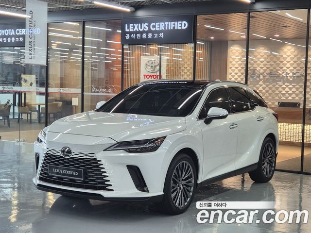 Lexus RX — exterior