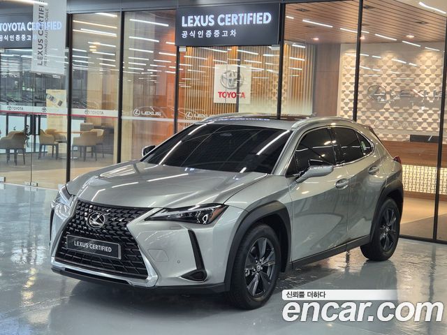 Lexus UX — exterior