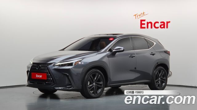 Lexus NX — exterior