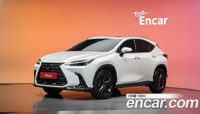 Lexus NX — exterior