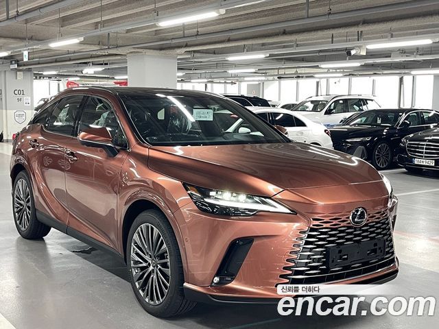 Lexus RX — exterior